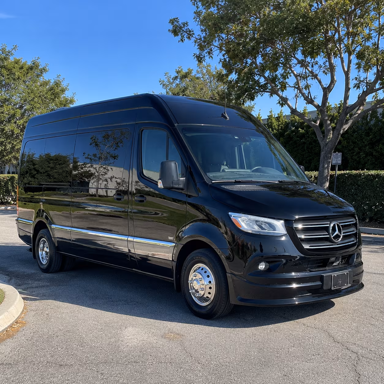 San Marcos Wedding Transportation & Shuttle Service
